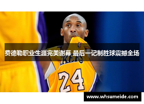 费德勒职业生涯完美谢幕 最后一记制胜球震撼全场